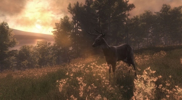 The Hunter: Elindult a nyílt béta