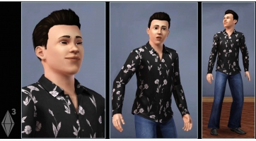 The Sims 3