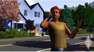 The Sims 3