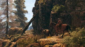 This Land Is My Land