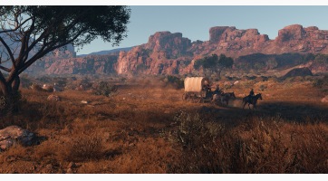 This Land Is My Land