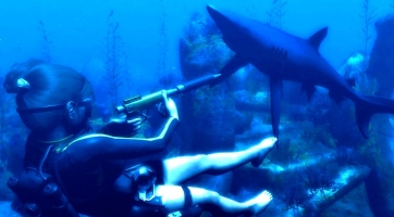 Tomb Raider Underworld: Megjelenési dátum