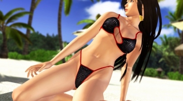 Tomonobu Itagaki kontra Tecmo: A cég szemszögéből