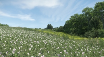 Kingdom Come: Deliverance