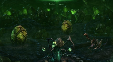 Starcraft 2