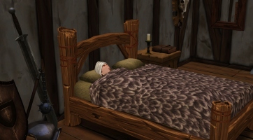The Sims Medieval