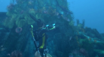Tomb Raider: Underworld