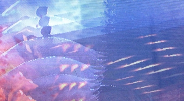 Call of Duty: Ghosts