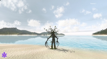 Wander