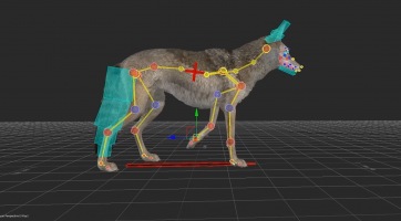 ZooBuilder név alatt mesterséges intelligencia segíthet az állatok animálásában a Ubisoftnak