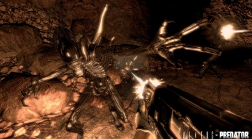 Aliens Versus Predator