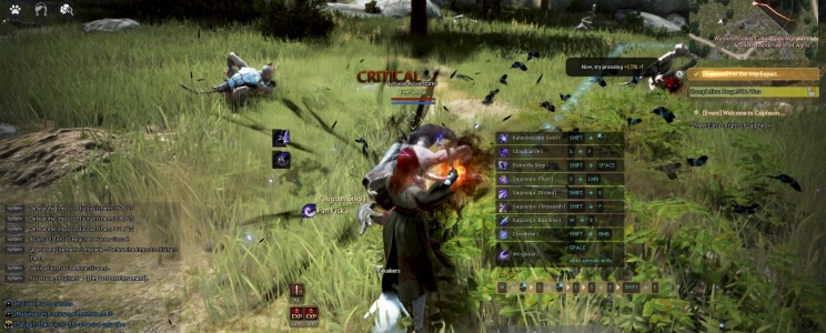 Black Desert