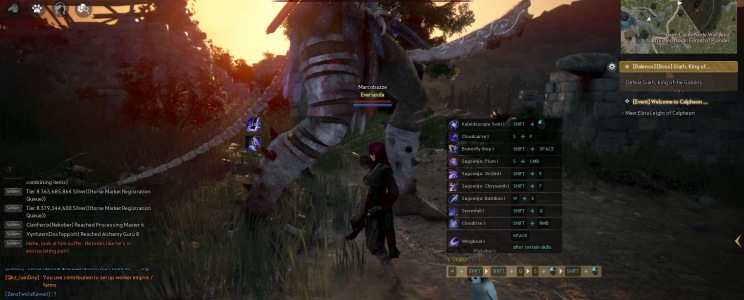 Black Desert