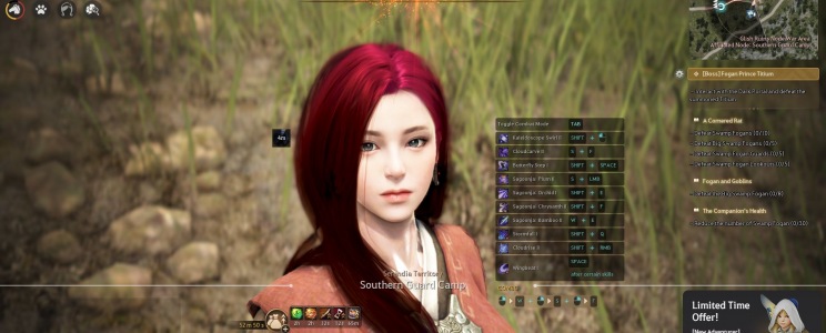 Black Desert