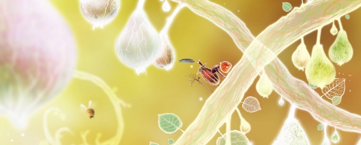 Botanicula