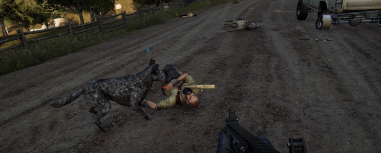 Far Cry 5