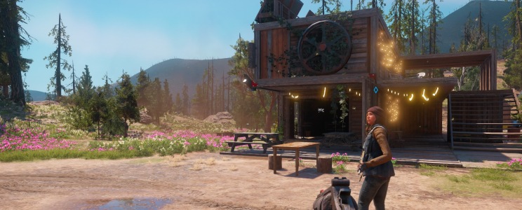 Far Cry New Dawn