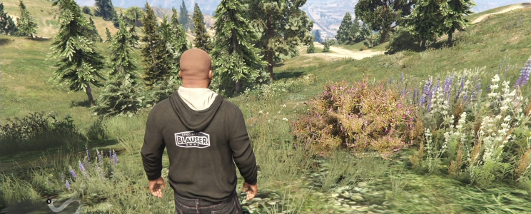Grand Theft Auto V (nextgen)