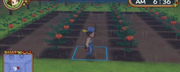 Harvest Moon: Hero of Leaf Valley