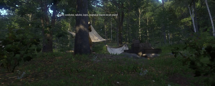 Kingdom Come: Deliverance