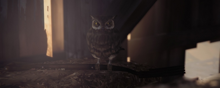 Life is Strange