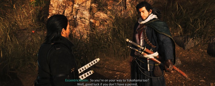 Rise of the Ronin