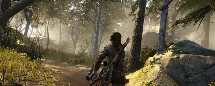 Rise of the Tomb Raider (PC)