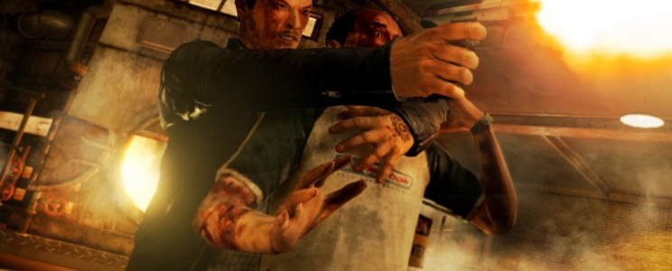 Sleeping Dogs