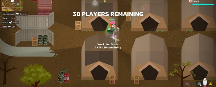 Super Animal Royale