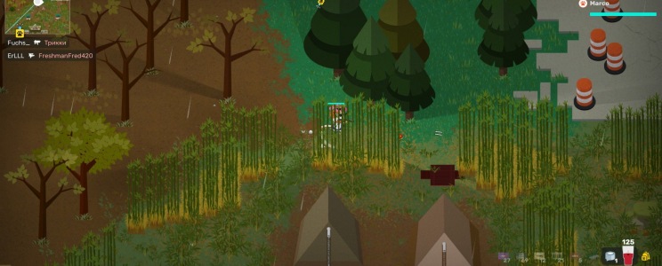 Super Animal Royale