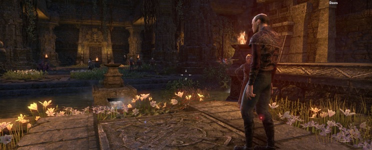 The Elder Scrolls Online: Blackwood