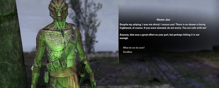 The Elder Scrolls Online: Blackwood