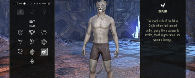 The Elder Scrolls Online: Tamriel Unlimited