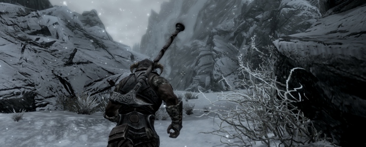 The Elder Scrolls V: Skyrim