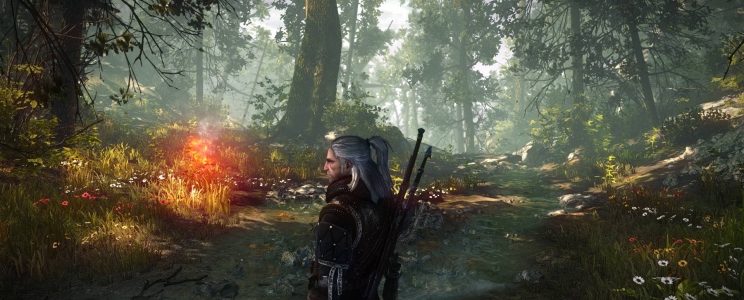 The Witcher 2: Assassins of Kings - Enhanced Edition