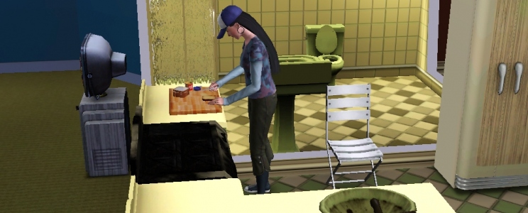 The Sims 3