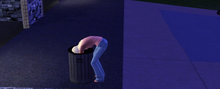 The Sims 3