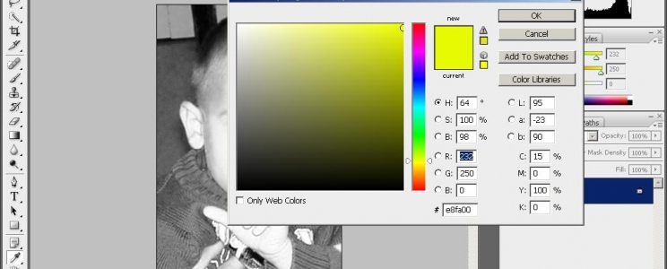 Adobe Photoshop CS4
