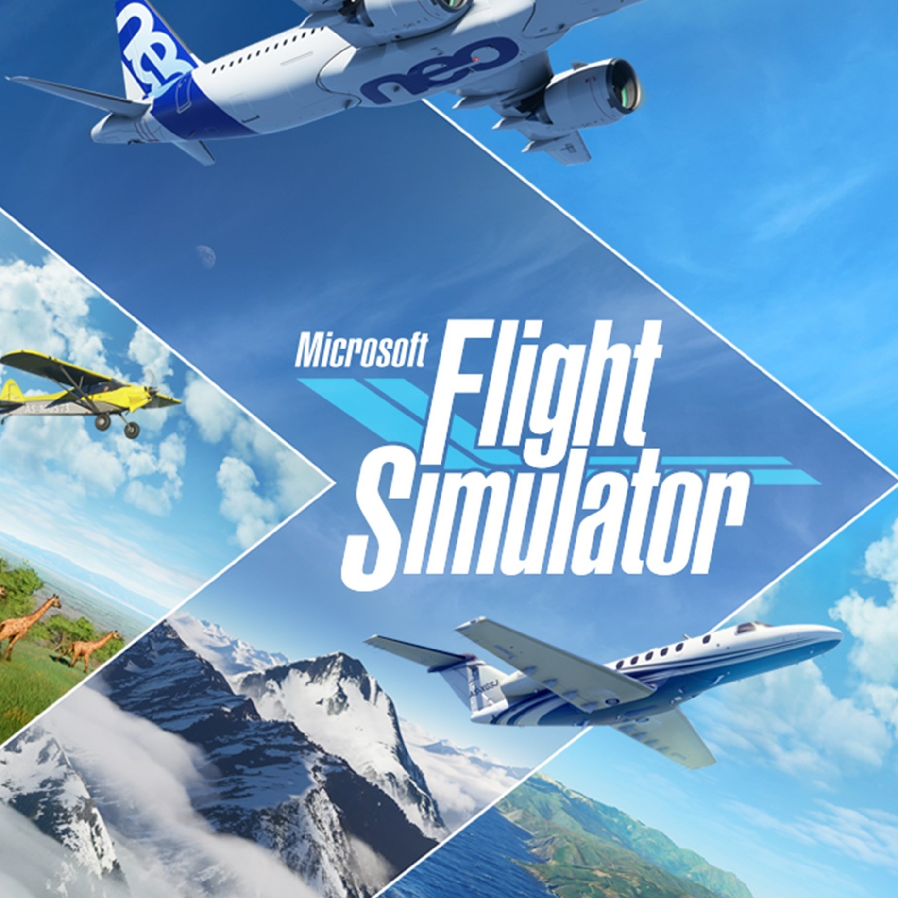 Microsoft Flight Simulator (2020)