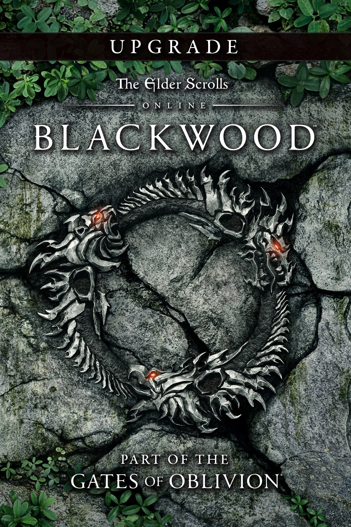 The Elder Scrolls Online: Blackwood