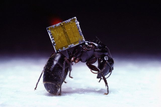 Pentium 4 SSE3 Prescott Extreme Edition 2005-ben