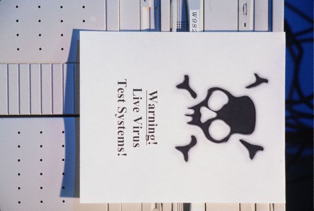 Kaspersky: folytatódik az internetes férgek számának növekedése