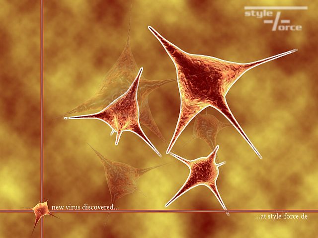 A Sasser kiagyalója őrizetbe vétele előtt még egy vírust szabadított a számítógépekre