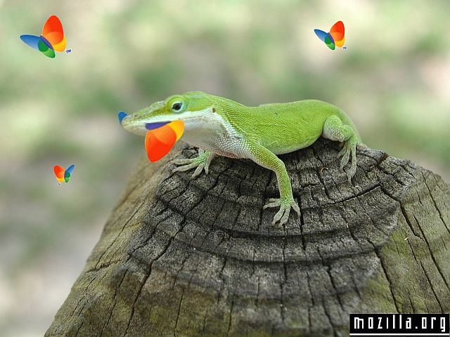 Újabb biztonsági rések a Mozilla böngészőn