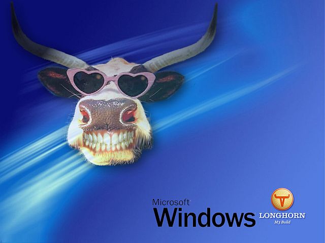 2008-ig nem várható a Microsoft forradalmi fájlrendszere