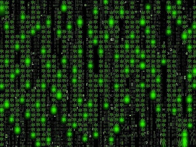 Újabb kritikus biztonsági rés az Exploreren