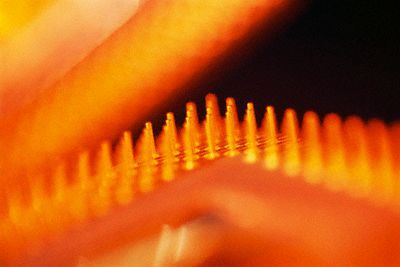 Az első többmagos processzorok az Inteltől