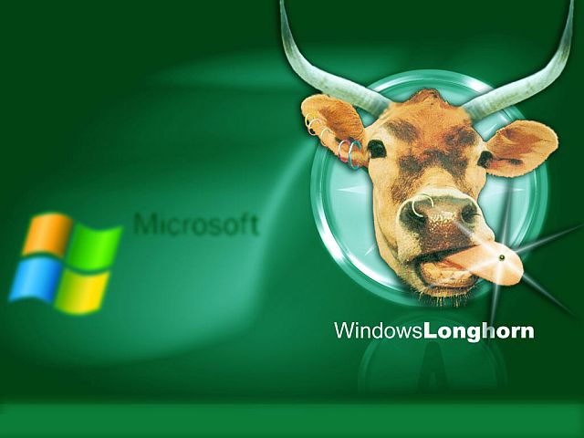 Valószínűleg e-XPedition lesz a Longhorn Windows neve