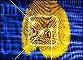 Személyazonosító technológiát fejleszt ki a Microsoft