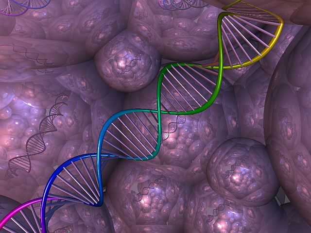 A világ legnagyobb DNS gyűjteményének létrehozására szövetkezett az IBM és a National Geographic